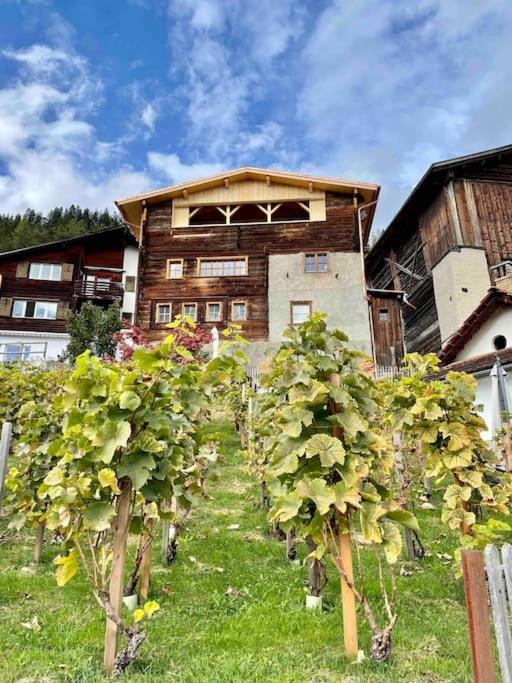 Trin Swiss Chalet Near Flims מראה חיצוני תמונה