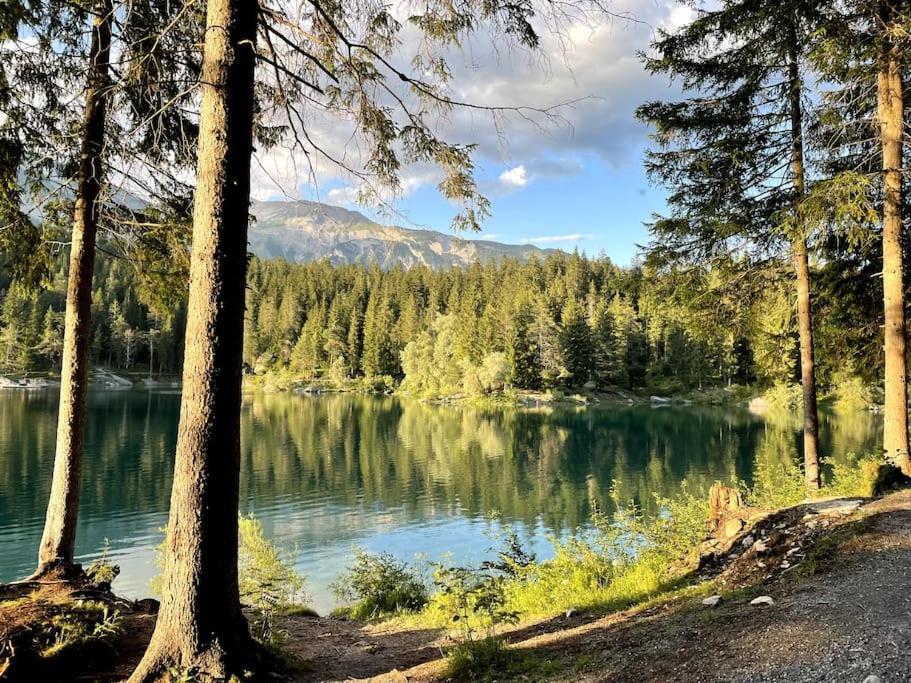 Trin Swiss Chalet Near Flims מראה חיצוני תמונה