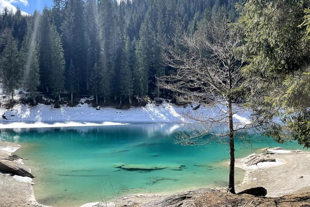 Trin Swiss Chalet Near Flims מראה חיצוני תמונה